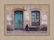 Load image into Gallery viewer, Black Cat
