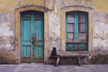 Load image into Gallery viewer, Black Cat
