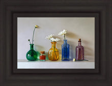 Load image into Gallery viewer, Italian Bottles
