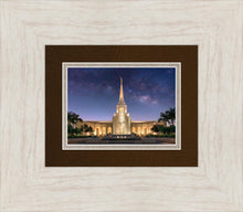 Load image into Gallery viewer, Ft. Lauderdale Kolob
