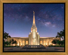 Load image into Gallery viewer, Ft. Lauderdale Kolob Gallery Wrap

