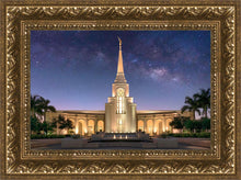 Load image into Gallery viewer, Ft. Lauderdale Kolob
