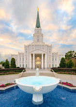 Load image into Gallery viewer, Houston Fountain Sunset
