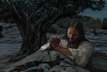 Load image into Gallery viewer, Gethsemane
