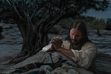 Load image into Gallery viewer, Gethsemane
