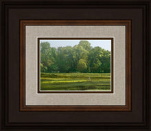 Load image into Gallery viewer, I Retired Into the Woods
