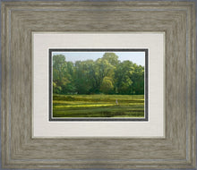 Load image into Gallery viewer, I Retired Into the Woods

