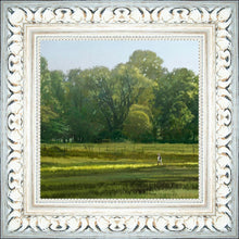 Load image into Gallery viewer, I Retired Into the Woods
