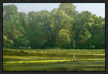 Load image into Gallery viewer, I Retired Into the Woods
