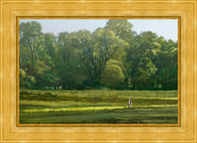 Load image into Gallery viewer, I Retired Into the Woods
