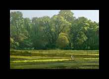 Load image into Gallery viewer, I Retired Into the Woods
