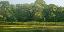 Load image into Gallery viewer, I Retired Into the Woods
