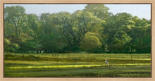 Load image into Gallery viewer, I Retired Into the Woods
