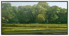 Load image into Gallery viewer, I Retired Into the Woods
