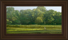 Load image into Gallery viewer, I Retired Into the Woods
