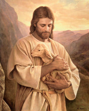 Load image into Gallery viewer, Lost Lamb
