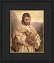 Load image into Gallery viewer, Lost Lamb
