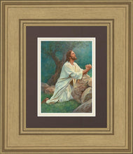 Load image into Gallery viewer, Prayer at Gethsemane

