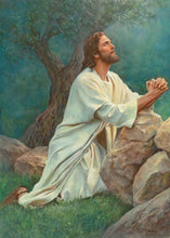Load image into Gallery viewer, Prayer at Gethsemane
