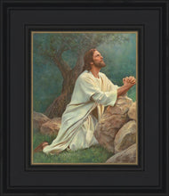 Load image into Gallery viewer, Prayer at Gethsemane
