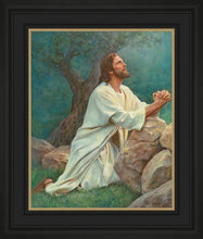 Load image into Gallery viewer, Prayer at Gethsemane
