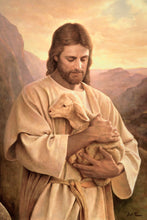 Load image into Gallery viewer, Lost Lamb
