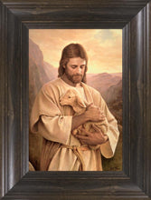 Load image into Gallery viewer, Lost Lamb Original Color
