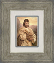 Load image into Gallery viewer, Lost Lamb
