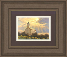 Load image into Gallery viewer, Cedar City Temple
