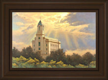 Load image into Gallery viewer, Cedar City Temple
