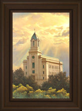 Load image into Gallery viewer, Cedar City Temple
