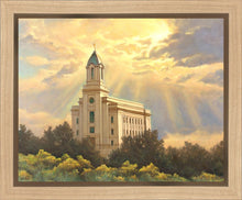 Load image into Gallery viewer, Cedar City Temple
