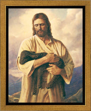 Load image into Gallery viewer, Once Lost
