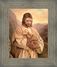 Load image into Gallery viewer, Lost Lamb
