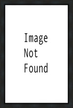 Load image into Gallery viewer, Christ in the Red Robe Gallery Wrap
