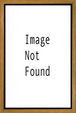 Load image into Gallery viewer, Christ in the Red Robe
