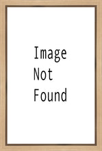 Load image into Gallery viewer, Christ in the Red Robe Gallery Wrap
