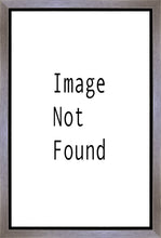 Load image into Gallery viewer, Christ in the Red Robe Gallery Wrap
