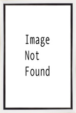 Load image into Gallery viewer, Christ in the Red Robe Gallery Wrap
