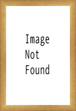Load image into Gallery viewer, Christ in the Red Robe
