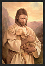 Load image into Gallery viewer, Lost Lamb

