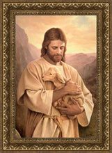 Load image into Gallery viewer, Lost Lamb
