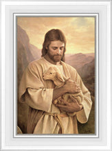Load image into Gallery viewer, Lost Lamb
