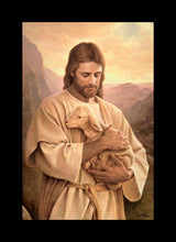 Load image into Gallery viewer, Lost Lamb
