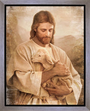 Load image into Gallery viewer, Lost Lamb Vintage

