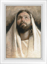 Load image into Gallery viewer, Submission
