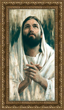 Load image into Gallery viewer, Thy Will Be Done

