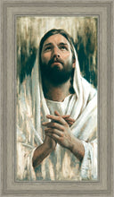 Load image into Gallery viewer, Thy Will Be Done
