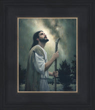 Load image into Gallery viewer, In Awe of His Creations
