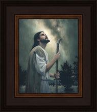 Load image into Gallery viewer, In Awe of His Creations

